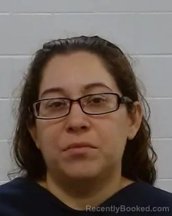 Mugshot of Sarah Elizabeth Arbaiza booked in Collin County, Texas on August 29, 2026