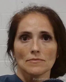 Mugshot of Isabel Anna Sanchez booked in Collin County, Texas on September 3, 2026