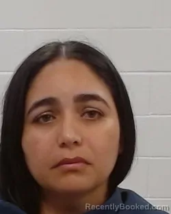 Mugshot of Mariger Dalianny Romero Garcia booked in Collin County, Texas on September 4, 2026