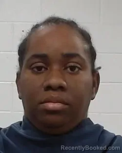 Mugshot of Shaquisha Lashay Palmer booked in Collin County, Texas on September 6, 2026