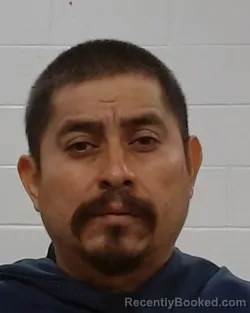 Mugshot of Andres Castro Morales booked in Collin County, Texas on September 7, 2026