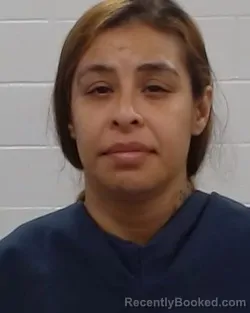 Mugshot of Margie Renay Gomez booked in Collin County, Texas on September 8, 2026