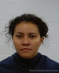 Mugshot of Yaneth Carolina Orellana Martinez booked in Collin County, Texas on September 11, 2026