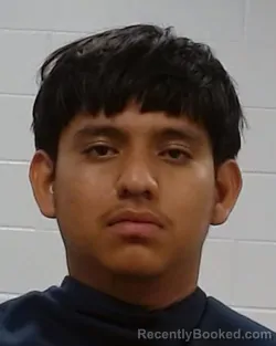 Mugshot of Wilman Lopez Hernandez booked in Collin County, Texas on September 13, 2026