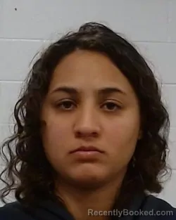 Mugshot of Joyce Marie Ortiz Tosa booked in Collin County, Texas on September 15, 2026
