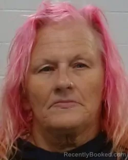 Mugshot of Ronda Marie Brown booked in Collin County, Texas on August 8, 2026