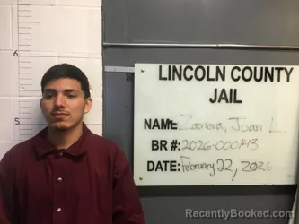 Mugshot of JUAN LOPEZ ZAMORA