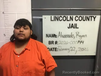 Mugshot of RYAN ALVARADO