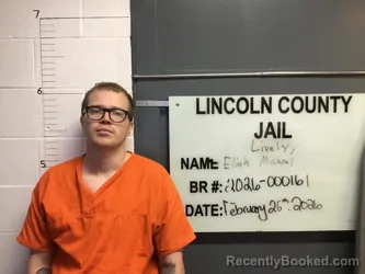 Mugshot of ELIAH MICHEAL LIVELY