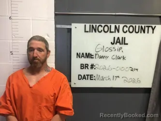 Mugshot of DANNY CLARK GLOSSIP