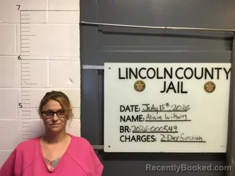 Mugshot of ALICIA NICOLE WILSON booked in Lincoln County, Oklahoma on July 15, 2026