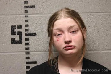 Booking photo from Logan County, Oklahoma