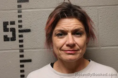 Mugshot of BRANDI LACHELLE MCDONALD