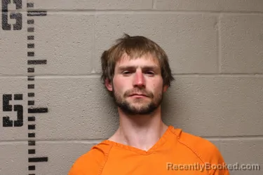 Mugshot of ROBERT NEASE booked in Logan County, Oklahoma on March 22, 2026