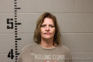 Mugshot of CONSTANCE ANN MORGAN COOK booked in Logan County, Oklahoma on April 3, 2026