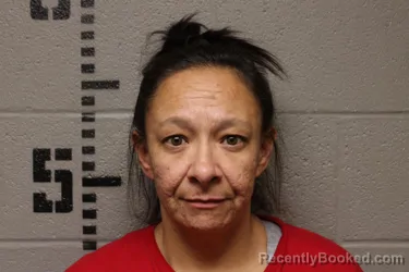Mugshot of CHANNENA LEIGH SLOAN booked in Logan County, Oklahoma on July 23, 2026