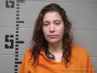 Mugshot of Brittany Mystic Turtle booked in Logan County, Oklahoma on August 29, 2026