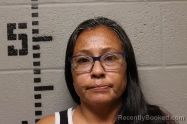 Mugshot of Janet Lynn Johnson booked in Logan County, Oklahoma on October 6, 2026
