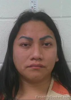 Mugshot of ORANTE BONILLA MERLY BONERGE