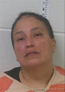 Mugshot of DIANA MARTINEZ