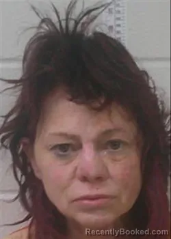 Mugshot of SHERILYN GAY VOEGELE