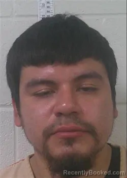 Mugshot of JAVIER AUSTIN ALFARO