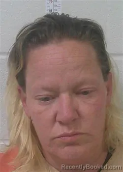 Mugshot of MELISSA KAY DIMESKI