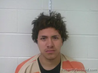 Mugshot of R'MANDO JETT CARROLL booked in Love County, Oklahoma on April 7, 2026