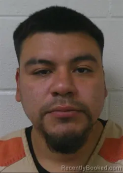 Mugshot of JAVIER AUSTIN ALFARO booked in Love County, Oklahoma on May 11, 2026