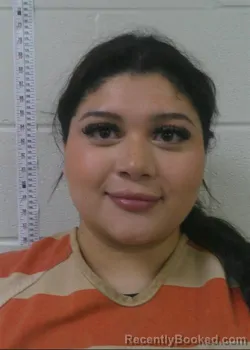 Mugshot of ELIANA NATZELI BARRIENTOS booked in Love County, Oklahoma on June 13, 2026