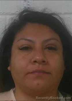 Mugshot of Sonya Santiago-Ocampo booked in Love County, Oklahoma on September 1, 2026