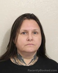 Mugshot of MELISSA ANN DAVIDSON