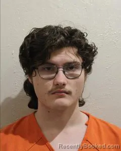 Mugshot of WYATT WALTER HORTON