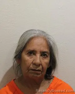 Mugshot of ISABEL ROBLES RODRIGUEZ