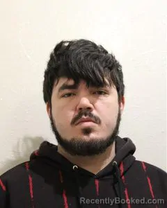 Mugshot of DAKOTA LYNN WHITE