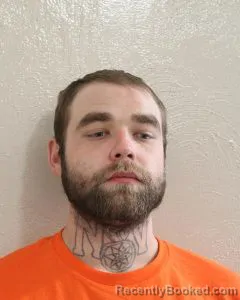 Mugshot of DAVID RAY WRIGHT