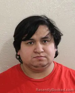 Mugshot of MATTHEW SANTEE YOUNG