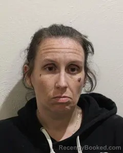 Mugshot of MEGAN LYNN ROMINE