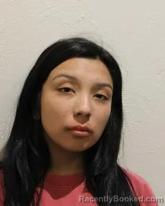 Mugshot of HENNESSEY CHAIRE LARGENT booked in McClain County, Oklahoma on March 16, 2026