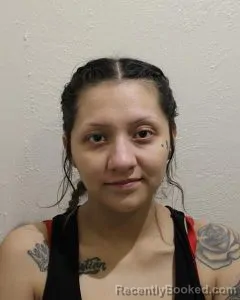 Mugshot of EMILY JOWANNA RAMIREZ booked in McClain County, Oklahoma on March 19, 2026