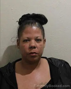 Mugshot of MEAGAN RAMONA WHITE booked in McClain County, Oklahoma on May 6, 2026