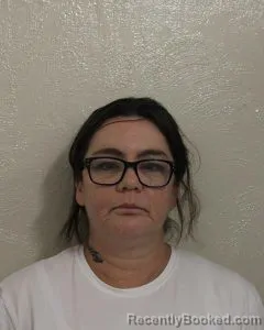 Mugshot of SHANNON LYNN WEBSTER booked in McClain County, Oklahoma on May 7, 2026