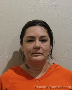 Mugshot of SHANNON LYNN WEBSTER booked in McClain County, Oklahoma on May 14, 2026