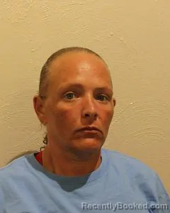 Mugshot of BRITTANY MICHELLE HARRIS booked in McClain County, Oklahoma on June 14, 2026