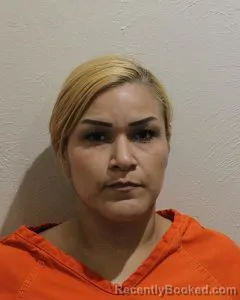 Mugshot of MEIGAN MARIE FLORES booked in McClain County, Oklahoma on July 28, 2026