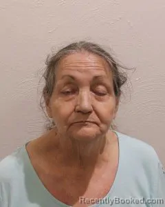 Mugshot of Yvonne Price Dollar booked in McClain County, Oklahoma on October 3, 2026