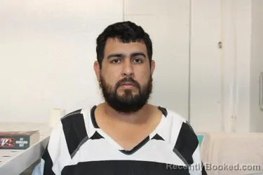 Mugshot of NOE AVILA