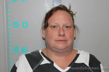 Mugshot of HEIDI ANN WALDSCHMIDT