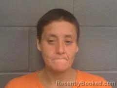 Mugshot of ROBERTA DELORES PATTON