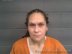 Mugshot of APRIL RENEE HANKS